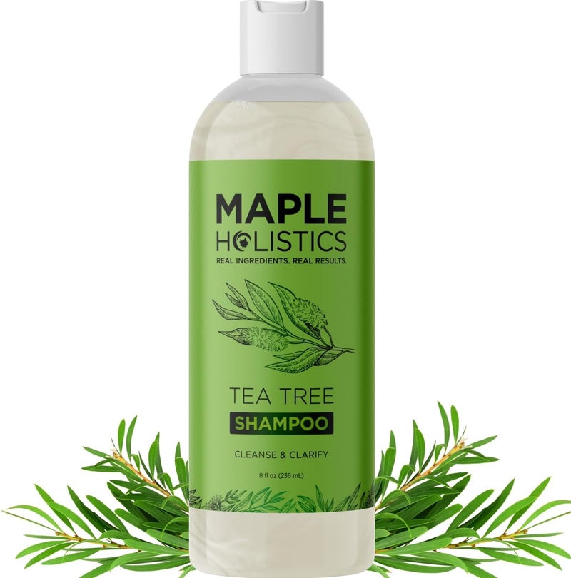 Maple Holistics Tea Tree Oil Shampoo - Sulfate Free Cleansing and Scalp Exfoliator for Dry and Oily Hair Care - Daily Clarifying With Essential Oil - Image 1
