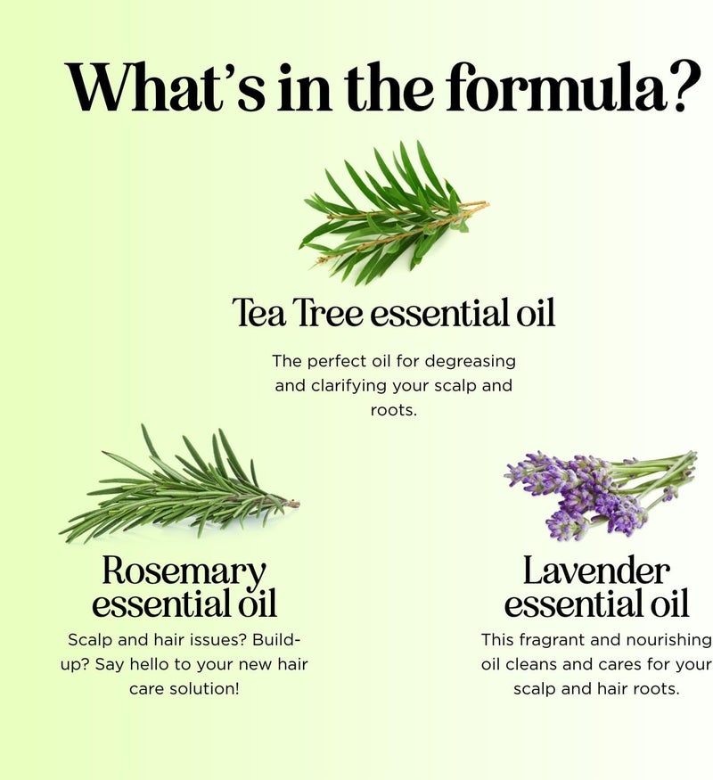 Maple Holistics Tea Tree Oil Shampoo - Sulfate Free Cleansing and Scalp Exfoliator for Dry and Oily Hair Care - Daily Clarifying With Essential Oil - Image 4