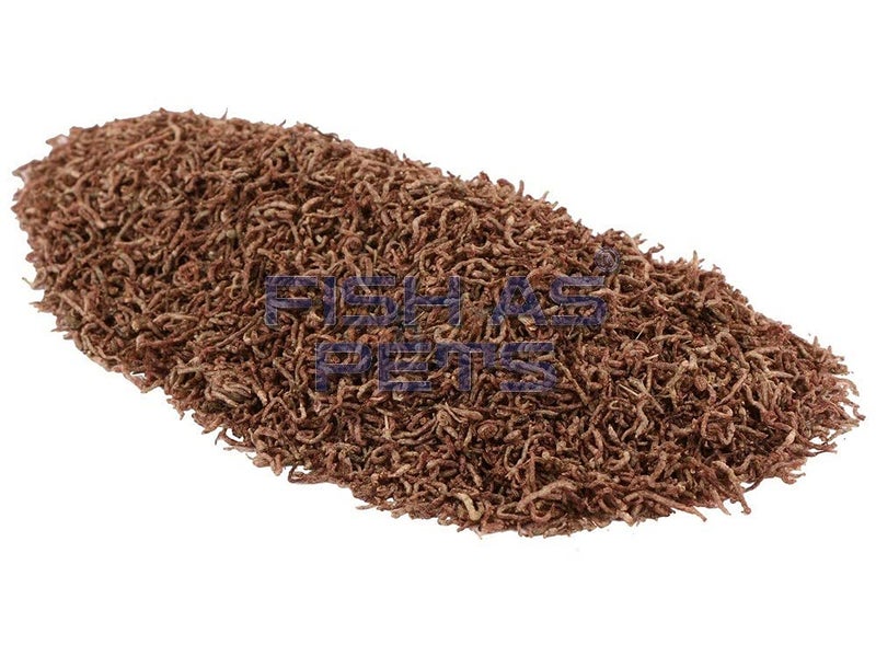 Hallofeed Freeze Dried Blood Worms For Fish- 55 Gm,All Life Stages - Image 4