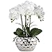 Briful Orchids Artificial Flowers 18" White Phalaenopsis Orchid with Silver Ceramic Pots Real Touch Faux Orchid Plant - Image 2