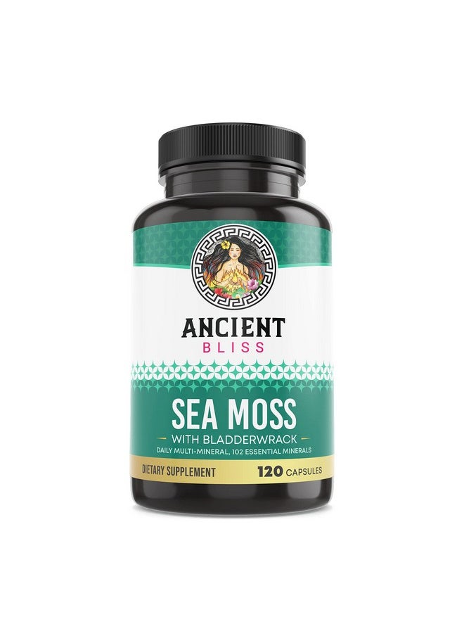 Ancient Bliss - Organic Irish Sea Moss Pills Dr Sebi Wildcrafted Seamoss Capsules ; Thyroid Healthy Skin Gut & Joint Support ; 120 Capsules - Image 1