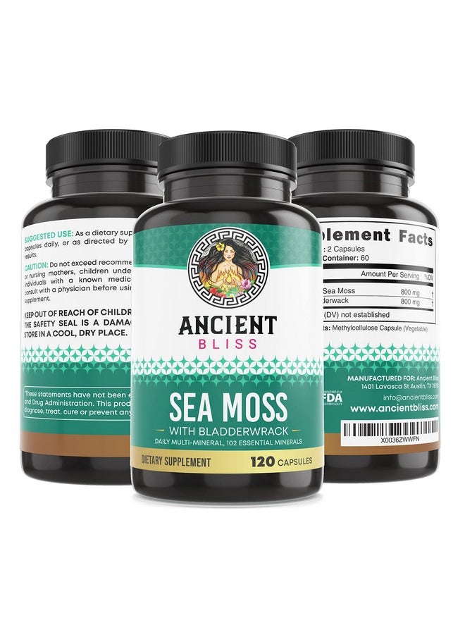 Ancient Bliss - Organic Irish Sea Moss Pills Dr Sebi Wildcrafted Seamoss Capsules ; Thyroid Healthy Skin Gut & Joint Support ; 120 Capsules - Image 1