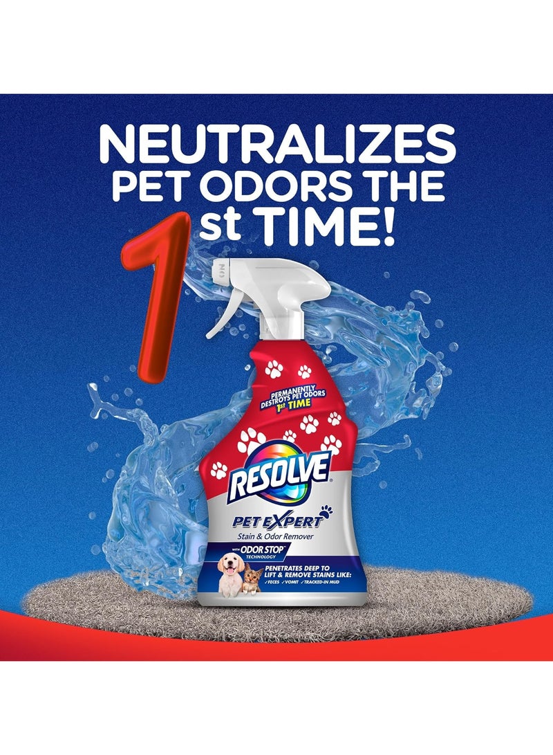 ريسولف ريزولف منظف السجاد والمفروشات من بت اكسبرت - 22 اونصة - Image 2