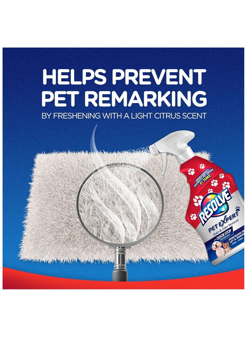 ريسولف ريزولف منظف السجاد والمفروشات من بت اكسبرت - 22 اونصة - Image 4