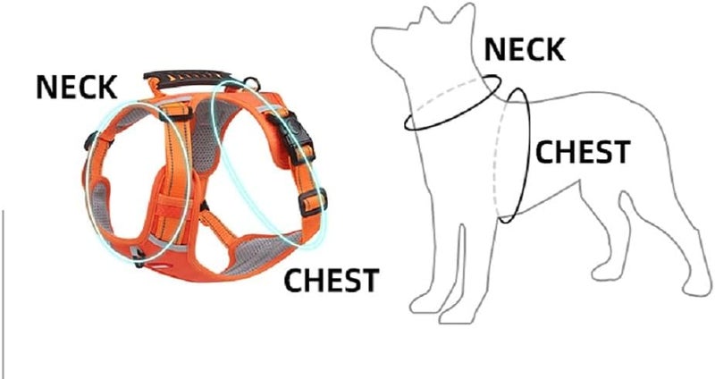 Le Pet New Dog Chest Harness Vest - Reflective Big Dog Harness in Orange (L) - Image 5