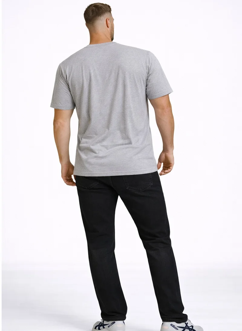 Polo Play Mens Graphic T-shirt -GREY