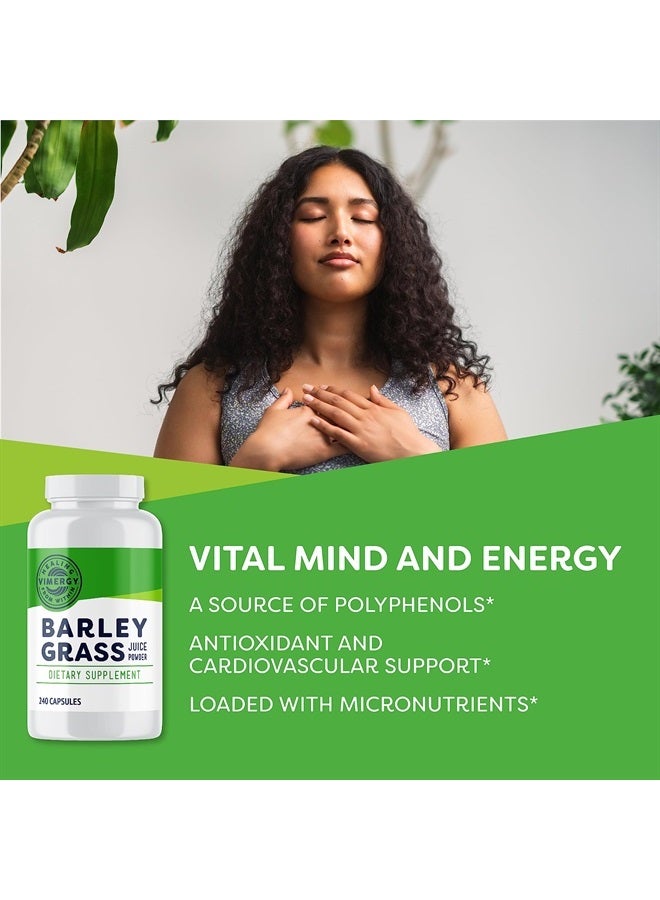 Vimergy Barley Grass Capsules, 30 Servings – Source of antioxidant - Contains Iron, Vitamin C, & Vitamin E – Non-GMO, Gluten-Free, Soy-Free, Vegan & Paleo – Daily Greens Booster (240 ct) - Image 2