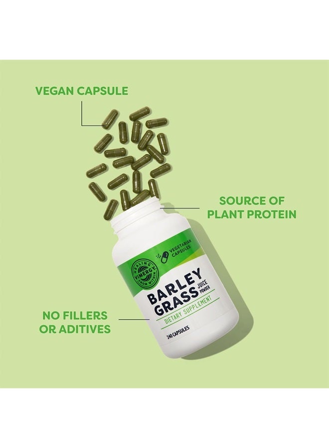 Vimergy Barley Grass Capsules, 30 Servings – Source of antioxidant - Contains Iron, Vitamin C, & Vitamin E – Non-GMO, Gluten-Free, Soy-Free, Vegan & Paleo – Daily Greens Booster (240 ct) - Image 3