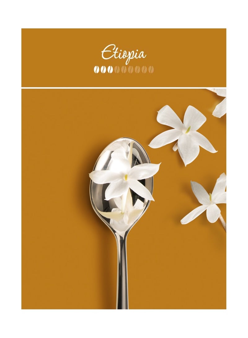 Illy Arabica Selection Ethiopia Whole Bean Coffee 250g - Image 4