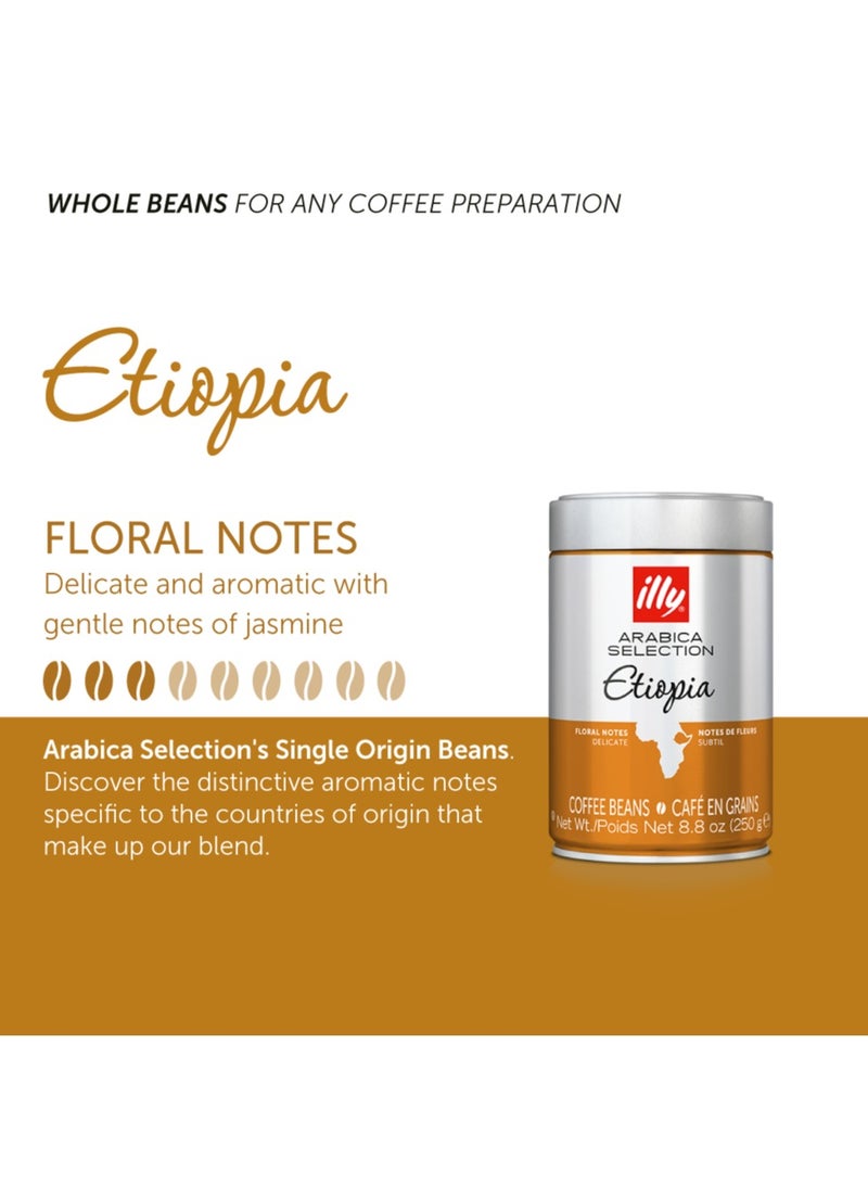 Illy Arabica Selection Ethiopia Whole Bean Coffee 250g - Image 5