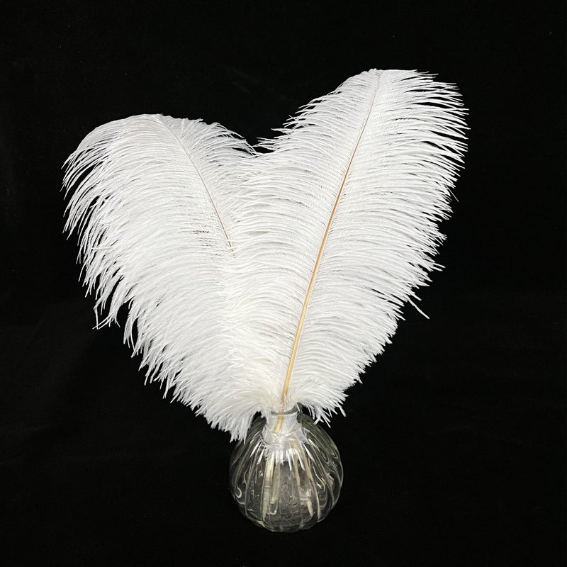 Happy Feather 16-18 inch White Ostrich Feathers Craft for Wedding Party Centerpieces Home Decoration DIY Craft Pack of 20 - Image 2