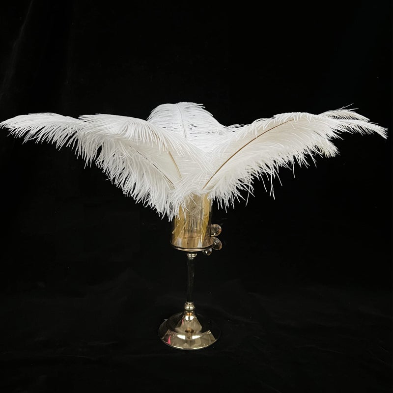 Happy Feather 16-18 inch White Ostrich Feathers Craft for Wedding Party Centerpieces Home Decoration DIY Craft Pack of 20 - Image 3