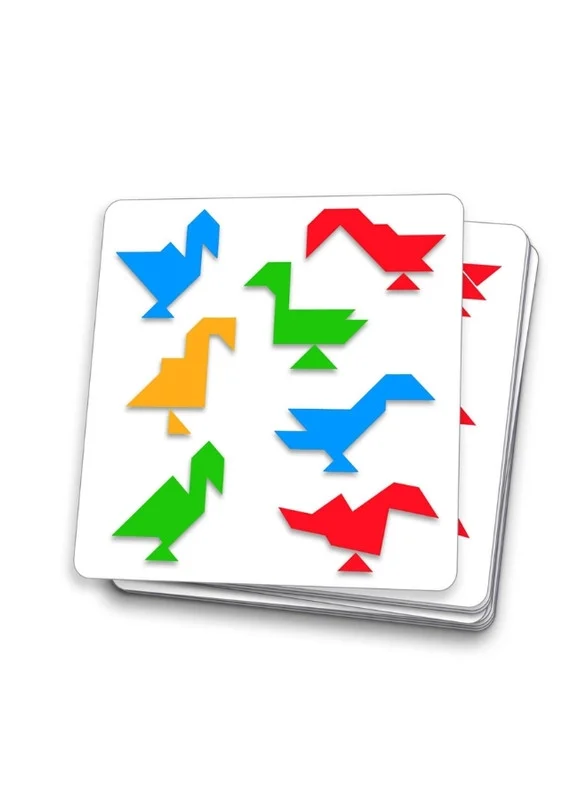 DJECO Wooden Magnetic - Tangram