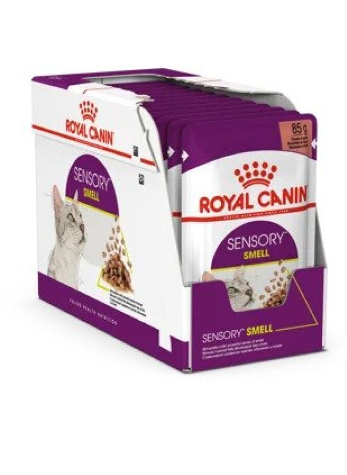 ROYAL CANIN Feline Health Nutrition Sensory Smell Gravy (WET FOOD - POUCHES) 12x85G - Image 4
