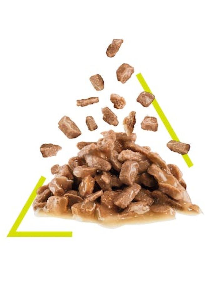 ROYAL CANIN Feline Health Nutrition Sensory Smell Gravy (WET FOOD - POUCHES) 12x85G - Image 2