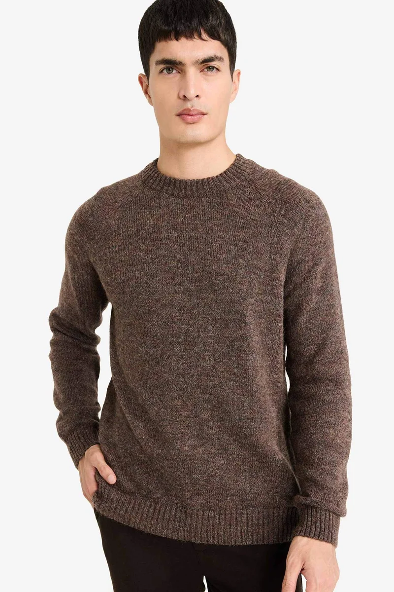 ديفاكتو Standard Fit Crew Neck Knitwear Pullover