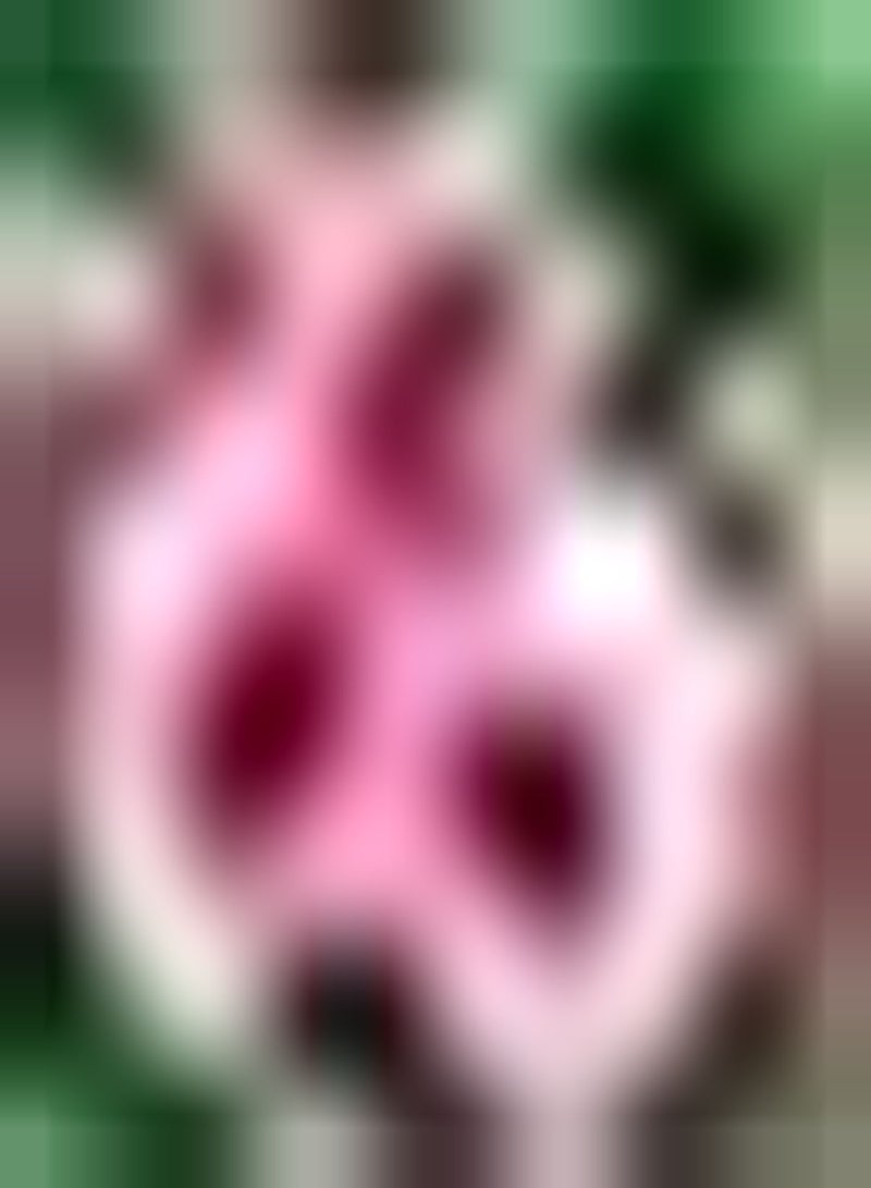 GGOOT 100pcs Roze Stokroos Zaden Geplant in Outdoor Patio Meerjarige Struik Charmante Aroma Prachtige Kleur Geschikt voor Woonkamer Decoratie - Image 3