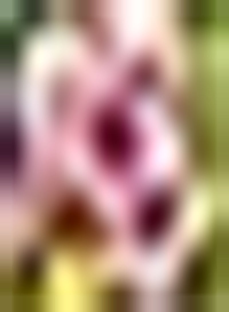 GGOOT 100pcs Roze Stokroos Zaden Geplant in Outdoor Patio Meerjarige Struik Charmante Aroma Prachtige Kleur Geschikt voor Woonkamer Decoratie - Image 1