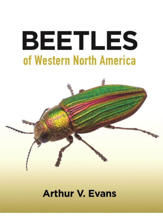 Beetles of Western North America