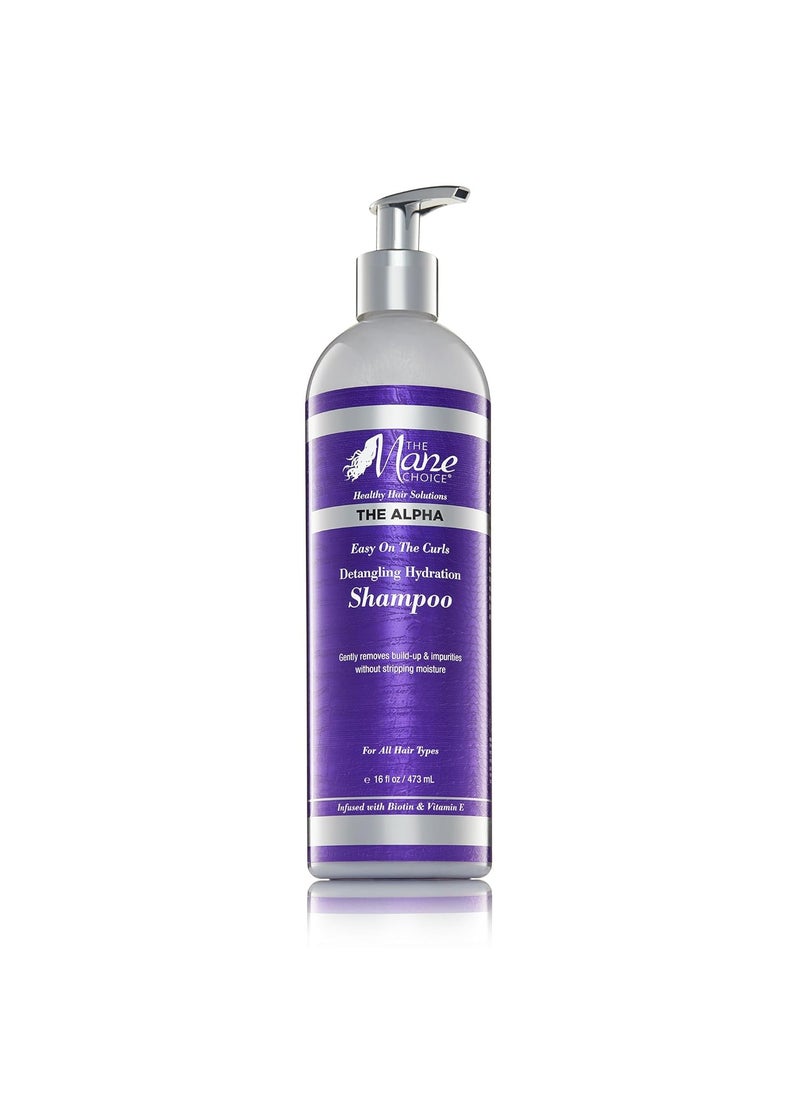 THE MANE CHOICE - The Mane Choice The Alpha Easy On The Curls Detangling Hydration Shampoo, Gentle, Non-Stripping Clarifying Shampoo, Helps Remove Knots & Tangles, Supports Natural Hair Growth & Retention, 16 oz - Image 1