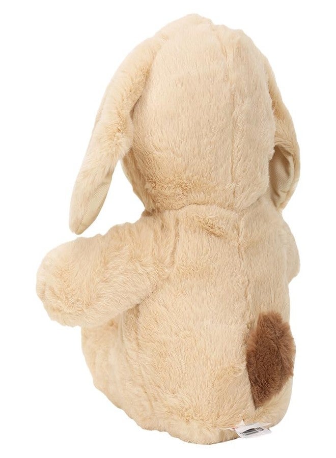 STRIDERS لعبة كلب فروي بال من ستريدرز، مقاس 14 بوصة، فائقة النعومة، بلون بيج، مع رقعة عين، لعبة قطيفة ناعمة ورفيق مثالي للأطفال - Image 4