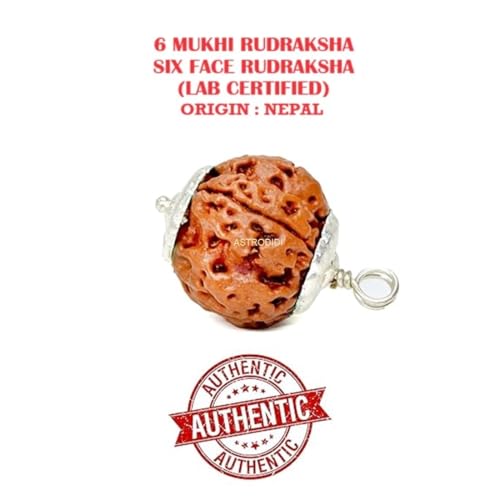 Astrodidi 6 Mukhi Rudraksha Original Certified Silver Plated Pendant | Natural Nepali Six Face Rudraksh | Astrological Benefits | Unisex Design for Men & Women - Image 3