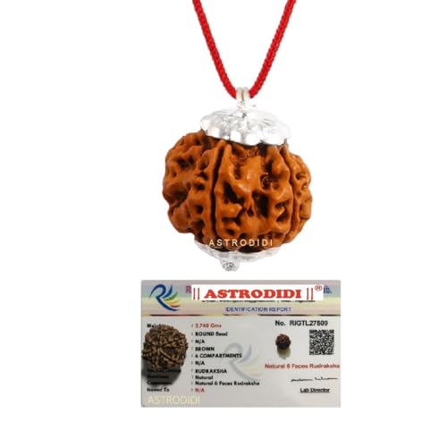 Astrodidi 6 Mukhi Rudraksha Original Certified Silver Plated Pendant | Natural Nepali Six Face Rudraksh | Astrological Benefits | Unisex Design for Men & Women - Image 1