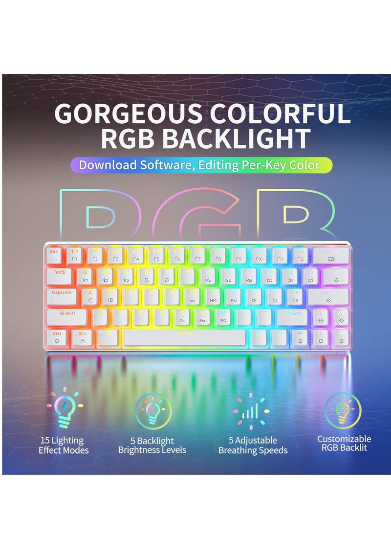 Tezarre - TK63 3 Mode Wireless, Bluetooth, Wired RGB Keyboard - Hot Swappable Optical Gateron Red Switch - Pudding Keycaps (White) - Image 1