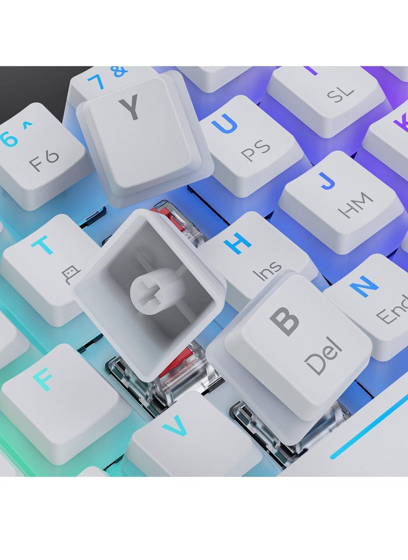 Tezarre - TK63 3 Mode Wireless, Bluetooth, Wired RGB Keyboard - Hot Swappable Optical Gateron Red Switch - Pudding Keycaps (White) - Image 1