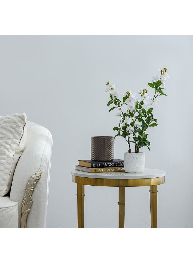 DANUBE HOME نبات الجاردينيا الاصطناعي – شجيرة مزهرة بطول 55 سم لتزيين الطاولات الداخلية والخارجية، زهور واقعية، قطعة زخرفية خالية من الصيانة - Image 4