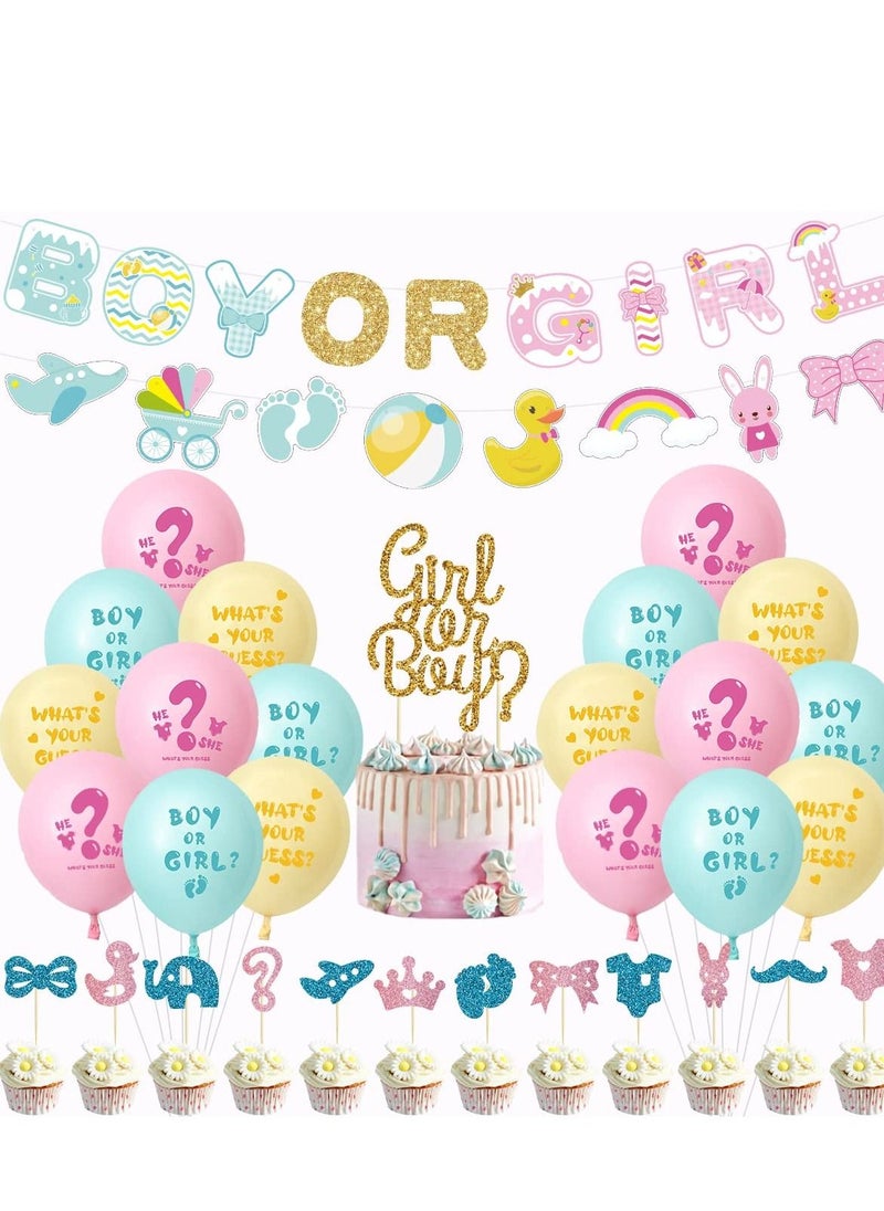 Y&D Gender Reveal Decorations Party Supplies with Boy or Girl Banner Printed Balloons  - Image 1