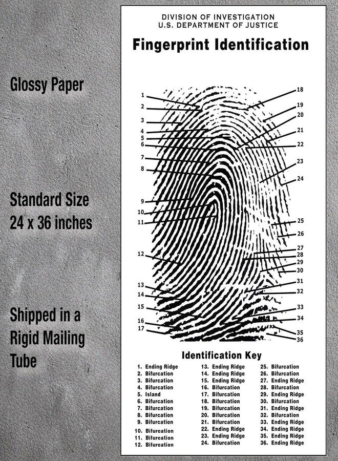 Crime Scene مخطط بصمات الأصابع لمسرح الجريمة، حجم الملصق 24" × 36" - Image 3