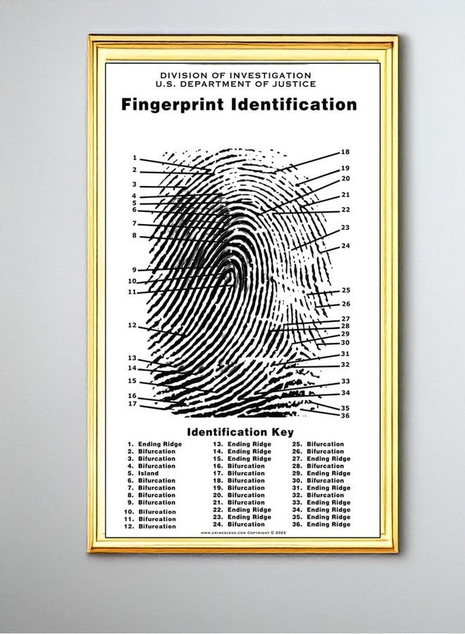 Crime Scene مخطط بصمات الأصابع لمسرح الجريمة، حجم الملصق 24" × 36" - Image 4
