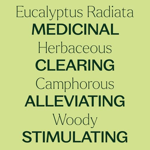 Plant Therapy Eucalyptus Radiata Essential Oil 30 mL (1 oz) 100% Pure, Undiluted, Therapeutic Grade - Image 4