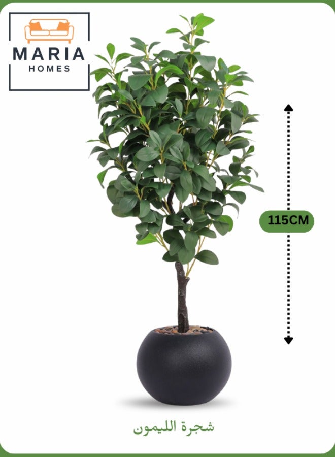 Maria Artificial Lemon Tree 115 cm – Decorative Indoor Plant with Black Pot  - Image 1