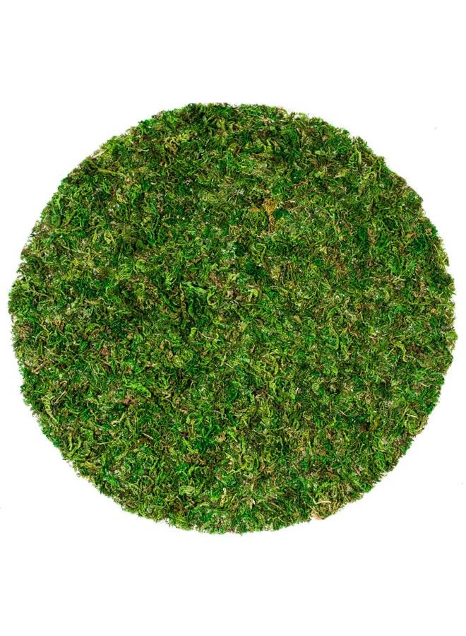 Super Moss (26315) Soil Toppers (Place Mats), Fresh Green, 12" (3 units) - Image 1