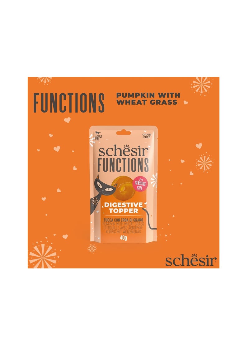 شيسر كيس طعام القطط Schesir Functions Digestive Topper بنكهة اليقطين مع عشبة القمح 40 جرام (12 كيس) - Image 2