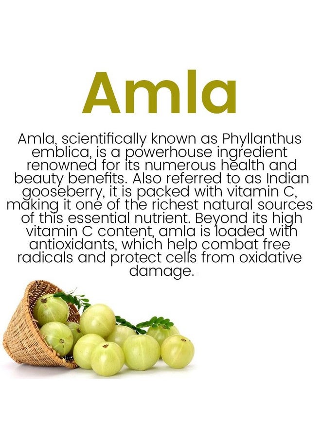 Kudos Amlaki 60 Capsules - Image 5