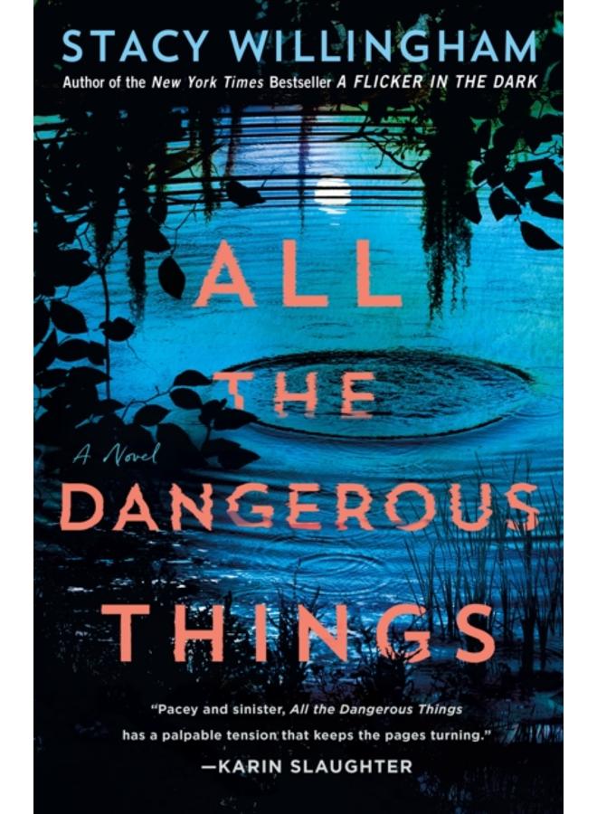 All the Dangerous Things : A Novel 