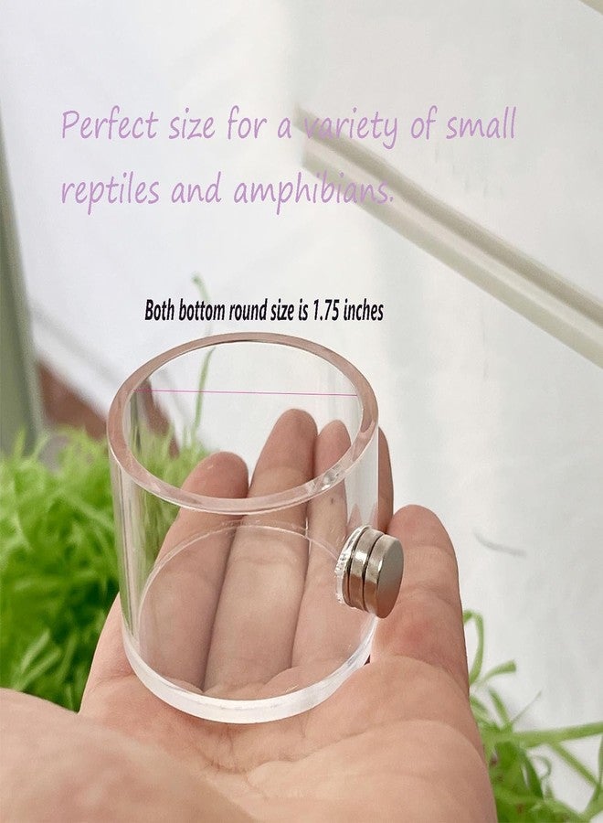 JILINWEI Tall Jumping Spider Feeding Dish, Magnetic Tiny Food Dishes Water Dish for Jumping Spider, Tarantula and Other Small Pets,(1.2in Tall) - Image 4
