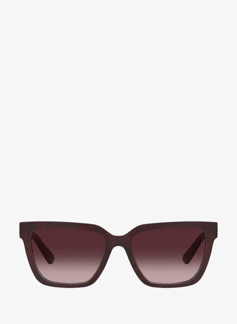 Wayfarers Sunglasses