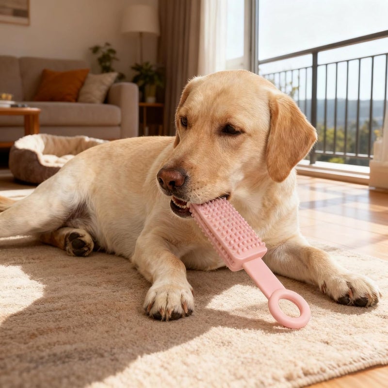 Dog Chewing Toy, Rubber Popsicle Shaped Puppy Teething Toy, Interactive - Image 1