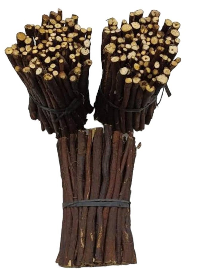 RBLISS CG Zaitoon/Black Olive Herbal Miswak Natural Manual, Adult Toothbrush Sticks | Datun Chewing Sticks | Healthy Eco Friendly Toothbrush | Pack Of 50 - Image 5