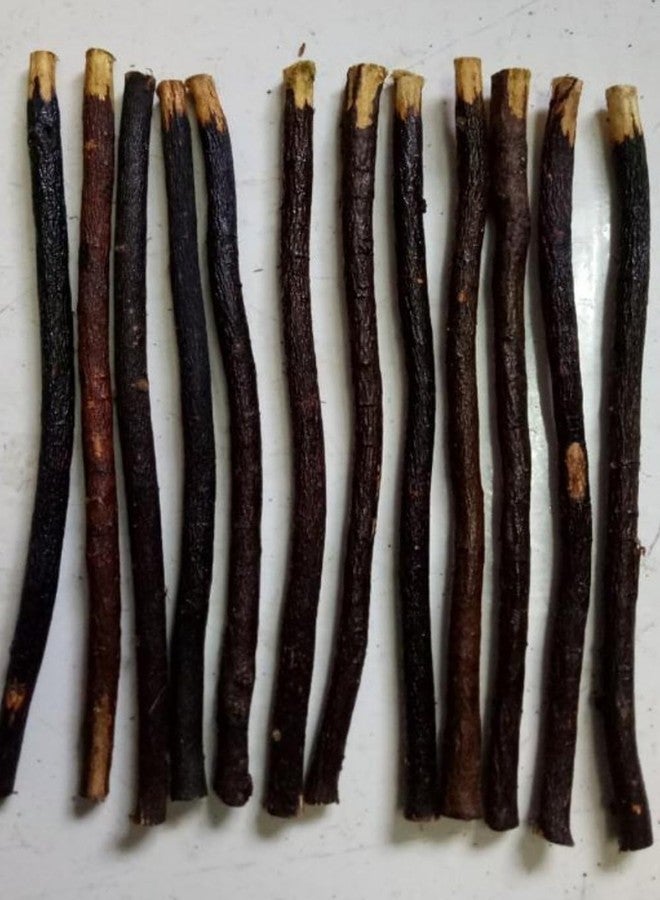 RBLISS CG Zaitoon/Black Olive Herbal Miswak Natural Manual, Adult Toothbrush Sticks | Datun Chewing Sticks | Healthy Eco Friendly Toothbrush | Pack Of 50 - Image 3