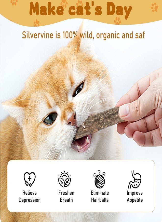 WoLover Silvervine Sticks for Cats, Natural Catnip Matatabi Chew Sticks Teeth Molar Chew Toys for Cat Kitten Kitty (25 PCS) - Image 3