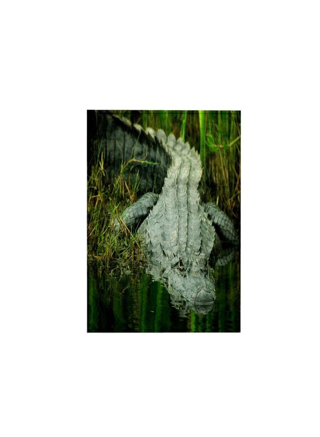 3DROSE 3D Rose Grow Them Big Here in Florida an Alligator TWL_62370_1 Towel, 15" x 22" - Image 1