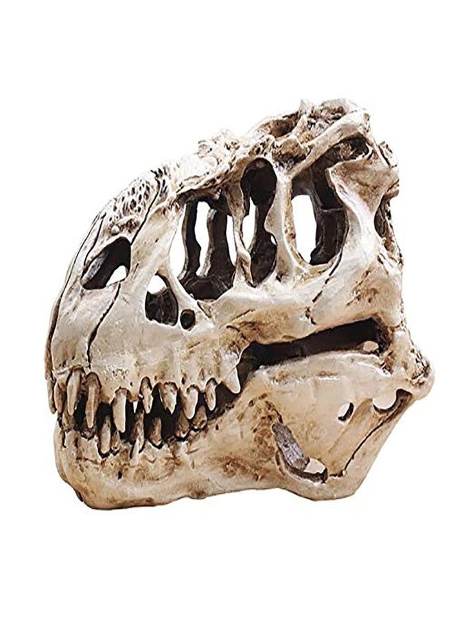 KODENG Tyrannosaur Skull T-Rex Skull Gifts Lifelike Resin Crafts Dinosaur Skull Fossil Teaching Skeleton Model Home Aquarium Decor (A) - Image 1