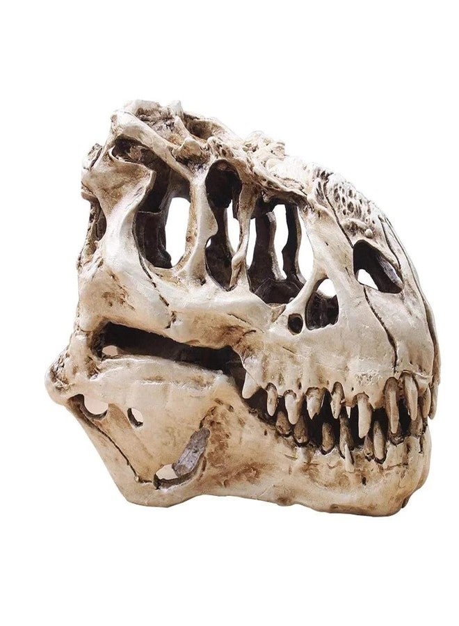 KODENG Tyrannosaur Skull T-Rex Skull Gifts Lifelike Resin Crafts Dinosaur Skull Fossil Teaching Skeleton Model Home Aquarium Decor (A) - Image 2