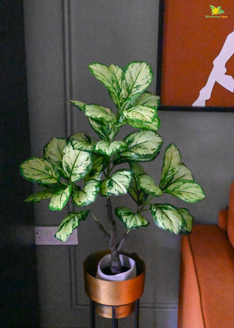 Blooming Floret Artificial Dieffenbachia Honeydew 95 cm Tall Plant with Basic Black Pot | Big Ornamental Plant for Interior Decor/Home Decor/Office Decor | 33 Leaves | Natural Looking Indoor Plant - Image 1