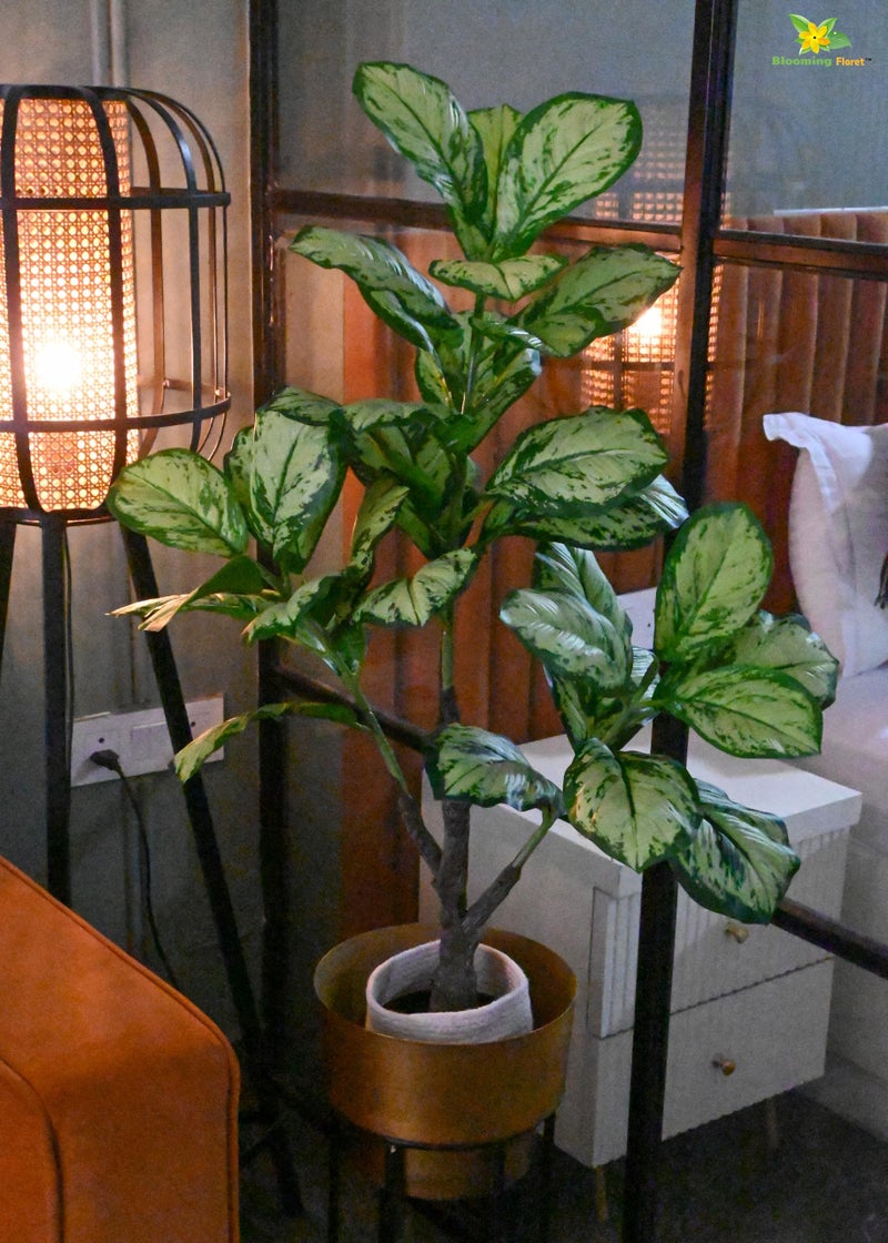 Blooming Floret Artificial Dieffenbachia Honeydew 95 cm Tall Plant with Basic Black Pot | Big Ornamental Plant for Interior Decor/Home Decor/Office Decor | 33 Leaves | Natural Looking Indoor Plant - Image 5